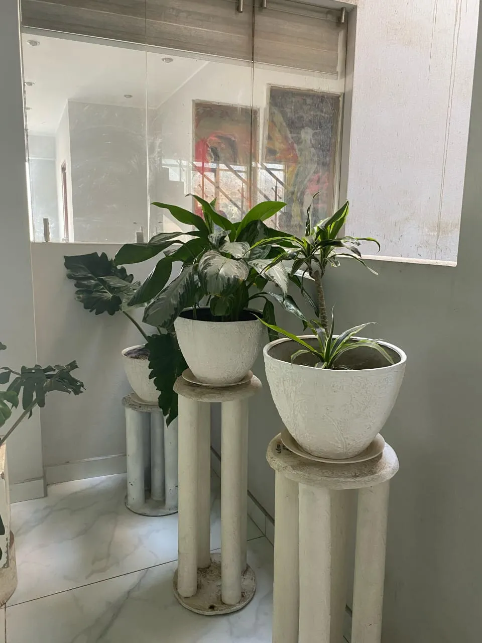 Vivero MAGRA 1