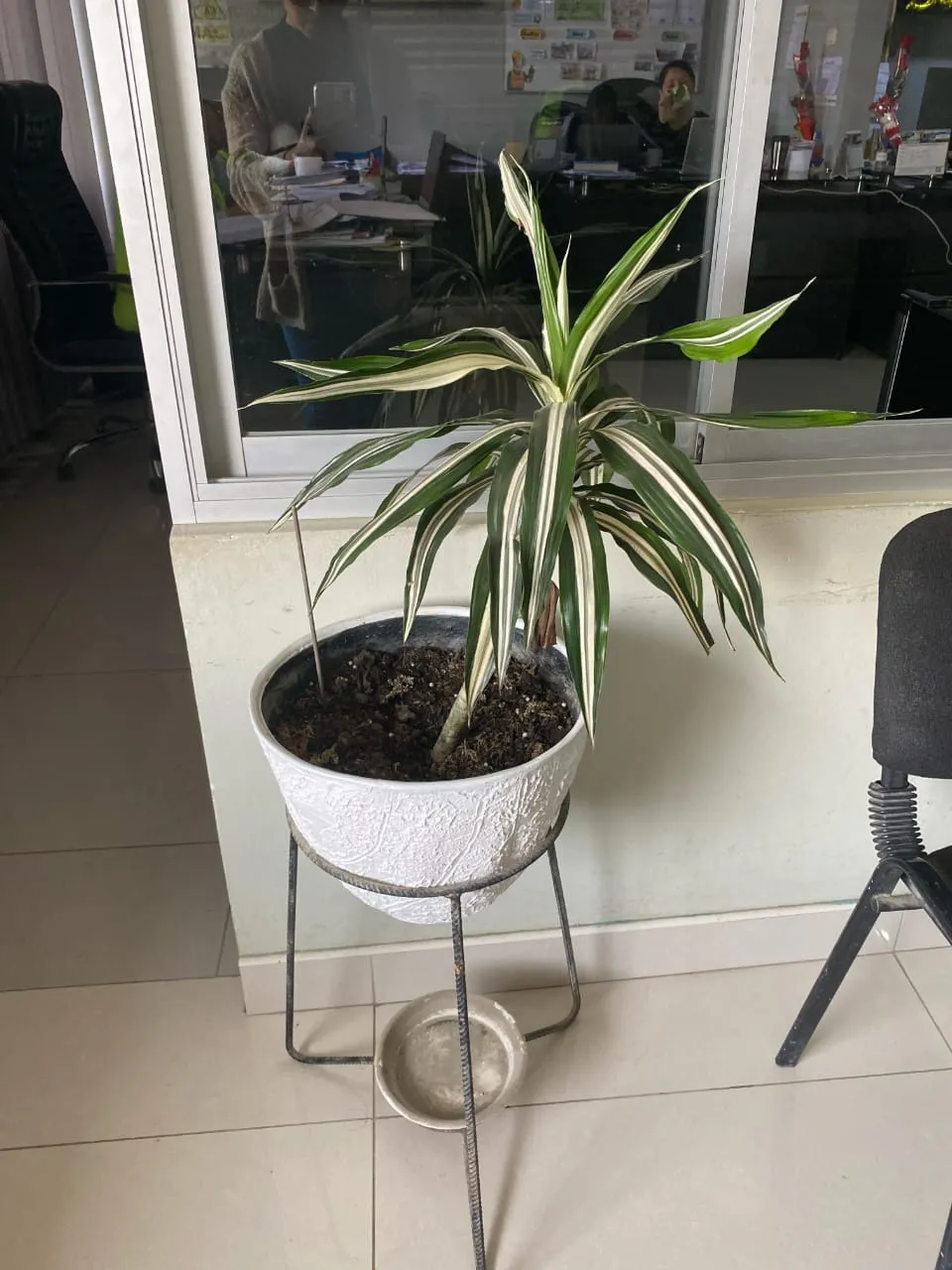 Vivero MAGRA 4